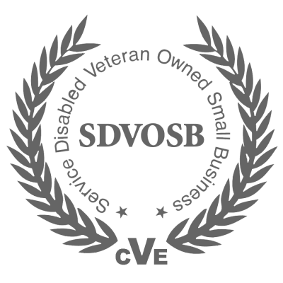 Service-Disabled Veteran-Owned Small Business